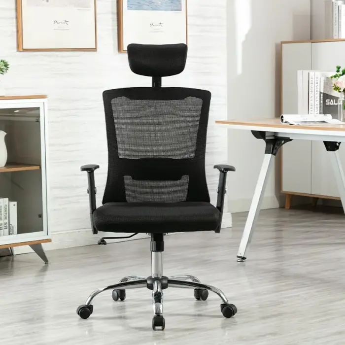 AntonacheMeshDeskChair.webp Ergonomic high-back seat - Image 4