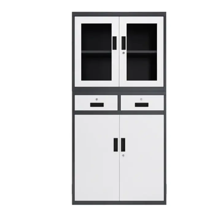 H38b1c81e2d734c229b08ce62eb6078fej.jpg_960x960.webp 2-Door metallic office cabinet - Image 4