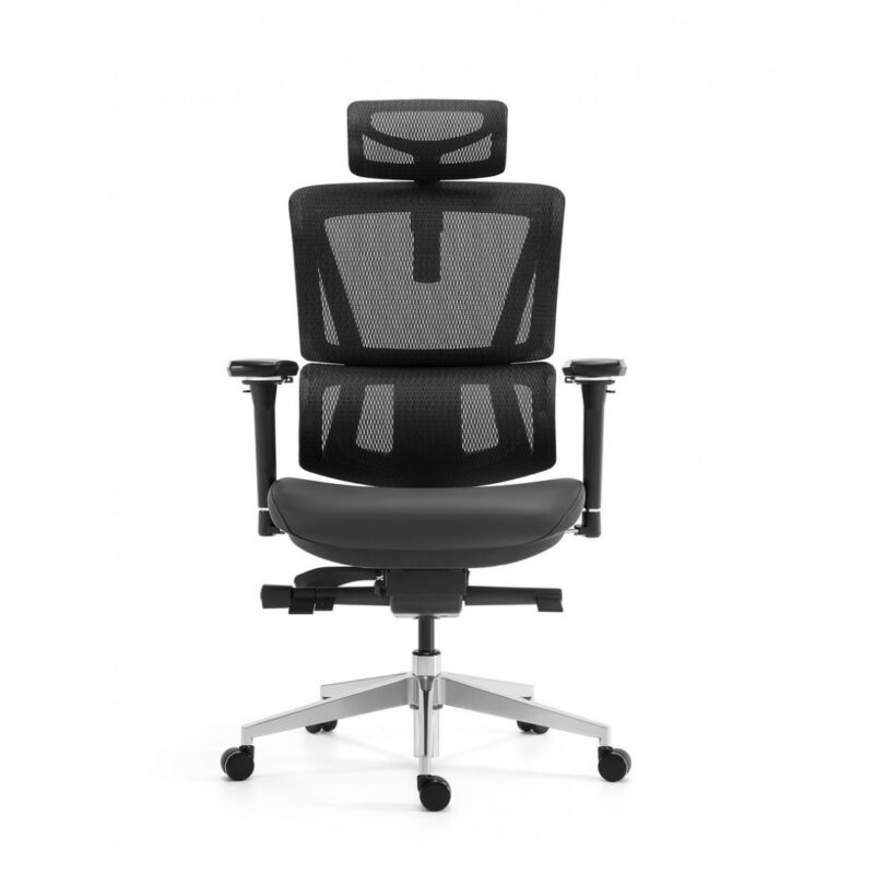 Executive Mesh Chair with Headrest